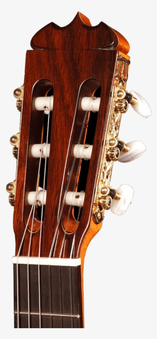 Previousnext - Acoustic-electric Guitar #7624860