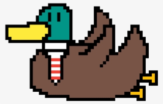 1200 X 1200 2 - Duck #7625264