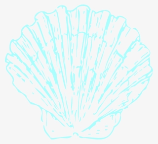 Robin S Egg Color Shell Svg Clip Arts 600 X 544 Px #7625376