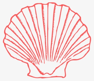 Shell Clip Art #7625493 Shell Clip Art #7625493