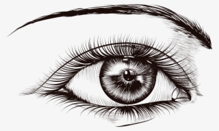 Lash Extension Products Semi Lashes Real Lash Extensions - 睫毛 卡通 #7625666