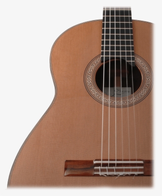 An Error Occurred - Acoustic Guitar #7625667