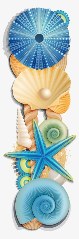 Фото, Автор Arana На Яндекс - Blue Seashells Png #7625769