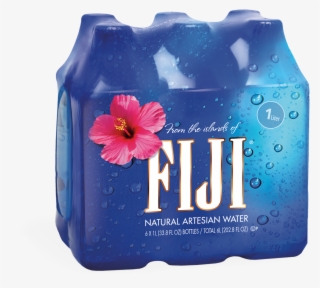 Fiji Water 6 Pack #7625876