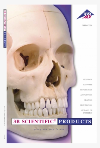 3b Scientific #7626150