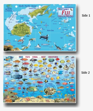 1814-32 - Reef Fish Of Fiji #7626234