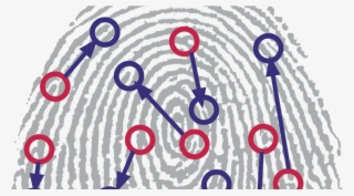 Jpg Royalty Free Stock Fingerprints Free Download Best - Fingerprint #7627293