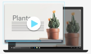 Screen Recorder For Windows - Houseplant #7628132