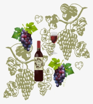 Wine And Grapes - Grapes Vector #7628235