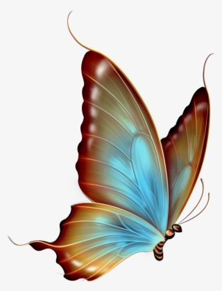 Swimming Butterfly Clipart Transparent - Butterfly Clipart No Background #7628851