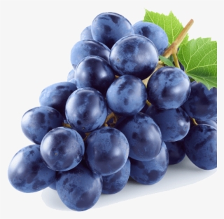 Clear Communications - Phytopharma Opc #7629321