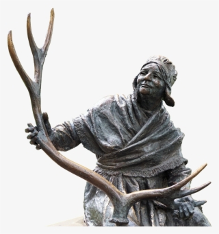 The Wild Overlap - Statue #7629432