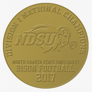 Commemorative Football Coin - Knights Of Columbus #7629903