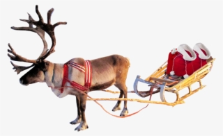 Santa Sleigh Png Clipart - Christmas Reindeer Transparent Background #7631510
