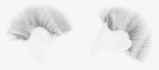 Enter Image Description Here - Close-up #7631535