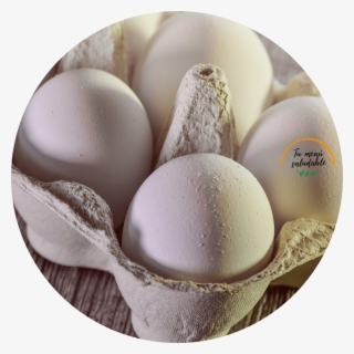 Sustitutos Del Huevo - Ketogenic Diet #7632729