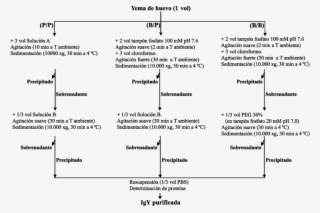 Protocolos De Purificación De Igy De Yema De Huevo - Document #7632822