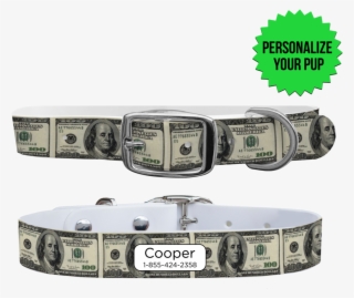 100 Dollar Bill Dog Collar - Dog Collar #7633994