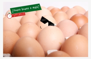 Aunque Aún No Estéis Familiarizados Con La Actividad - Egg #7634107