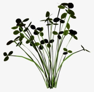 Grass Groundcover Scenery Terrieasterly - Buttercup #7635246