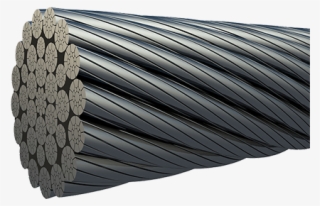 Barbed Wire #7637003 Barbed Wire #7637003