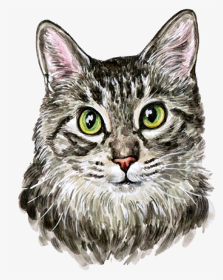 Cat Kitten Watercolor Painting - Cutest Cat Watercolor Painting #7638224