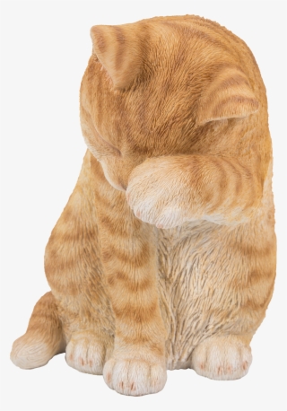 Grizzly Bear #7638562 Grizzly Bear #7638562