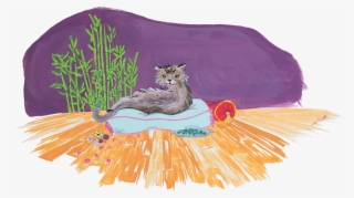 Cat Wellness - Domestic Short-haired Cat #7638758