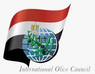 International Olive Council Logo #7638903