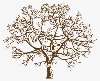 And Have As Much Family Listed On The Tree As Possible - Illustration #7639050