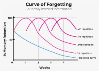 Curve Of Forgetting #7641420
