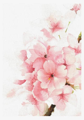 Watercolor Rose Flowers Freetoedit Overlay Watercolor - Watercolor ...