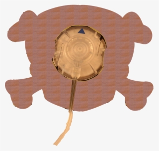 Tortoise #7641611 Tortoise #7641611