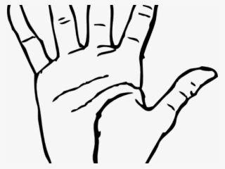 Outline Of Hand - Coloring Picture Of Hand #7643591