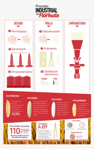 Procesodelarroz - Proceso Industrial Del Arroz #7644231