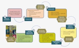 Proceso - Diagram #7644708