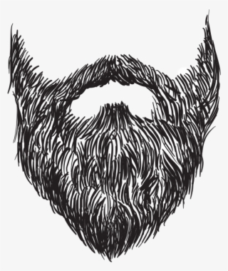 Beard - Sketch #7645117 Beard - Sketch #7645117