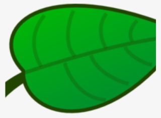 Green Leaves Clipart Jack And The Beanstalk #7646134