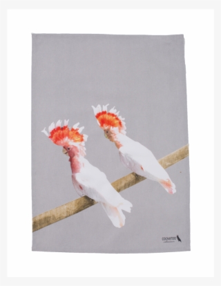 Cockatoo Friends Tea Towel Australiana Gift By Cockatoo - Cockatiel #7647138