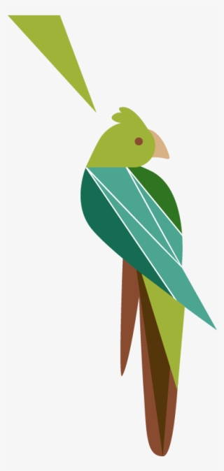 Sidebar Cockatoo - Parakeet #7647551