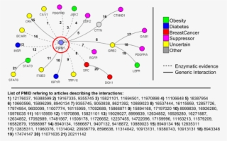 Each Protein Is Depicted As Circle Whose Color Refers - Ptp1b Substrates #7649412