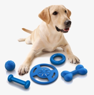 Dog Toy Png - Đồ Chơi Cho Chó #7649414