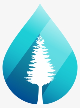 Wetspots - Org - Christmas Tree #7649685