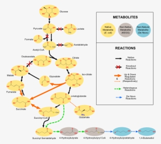 These Methods May Utilize Known Native And Known Non-native - Diagram #7649731