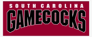 South Carolina Gamecocks Iron On Stickers And Peel-off - South Carolina Basketball Logo #7652452