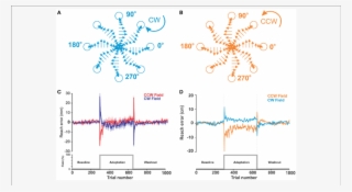 Motor Adaptation During Force Field Perturbations - Diagram #7656275