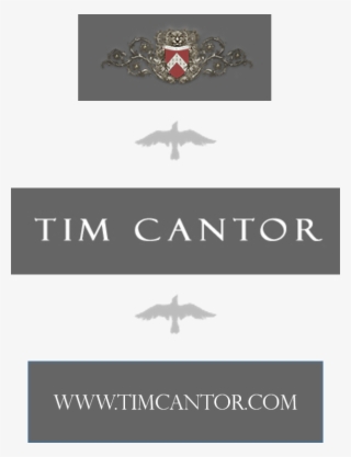Meet The Artist, Tim Cantor - Air Force #7657383