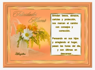 Mvbnztj - African Daisy #7658047