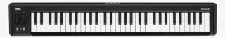 Korg Microkey261 Compact Midi Keyboard - Korg Microkey Air 49 #7658948