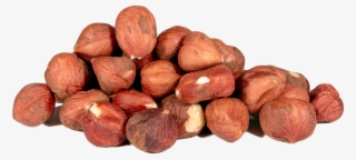 Hazelnuts, Barcelona, Whole, Raw - Hazelnut #7659380